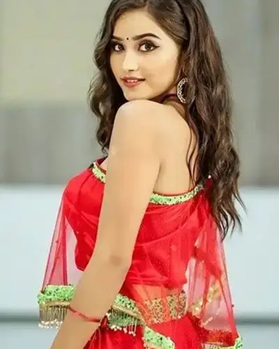 Call Girl Service in Ashok Vihar